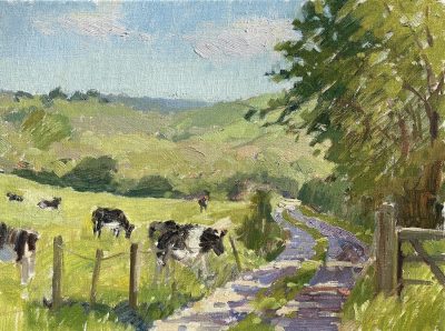 Cornish Cows & Morning Light