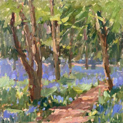 The Bluebell Path