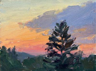 Pine Tree Sunset