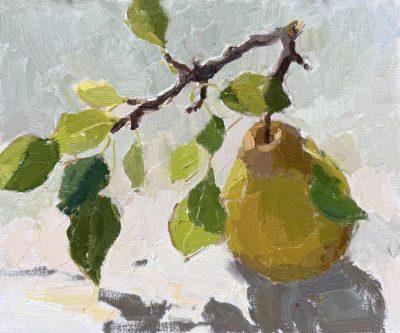 Pear in Morning Sunshine